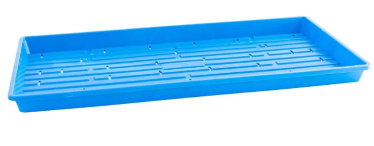 Tray Bootstrap Farmer Microgreen Shallow Extra Strength -With Holes (Colors)
