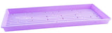 Tray Bootstrap Farmer Microgreen Shallow Extra Strength -With Holes (Colors)