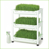 Wheatgrass Grower