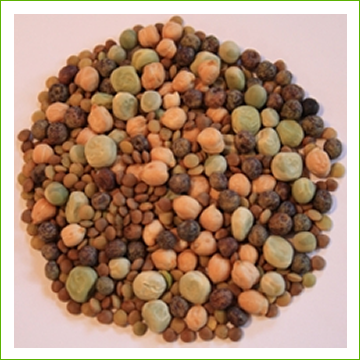 Bean (organic Mix) 226gr